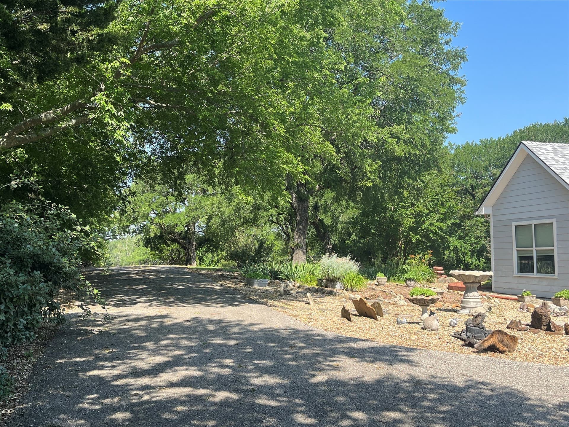 8.79 acres in Grayson County gallery image 4