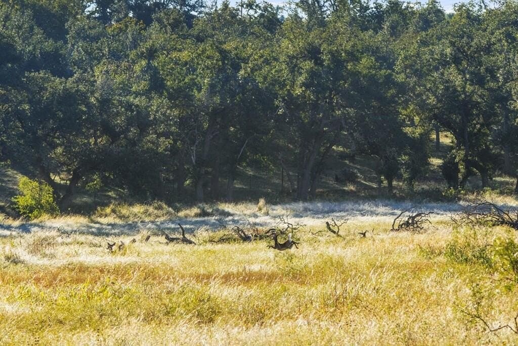 25 acres in Gillespie County