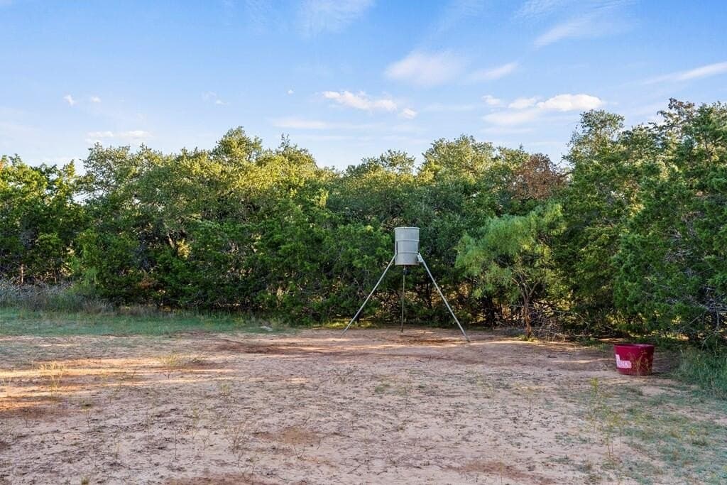 25 acres in Gillespie County - photo 8