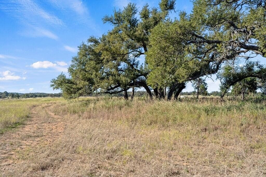 25 acres in Gillespie County - photo 11