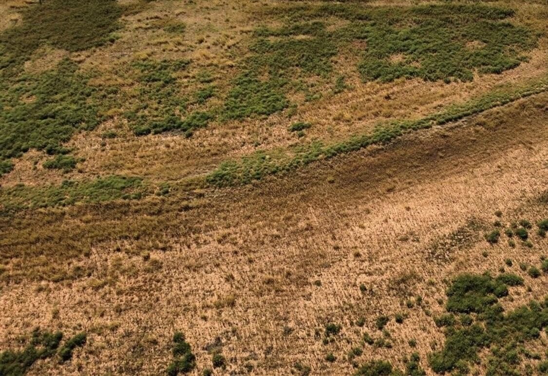 10.01 acres in Lubbock County gallery image 3