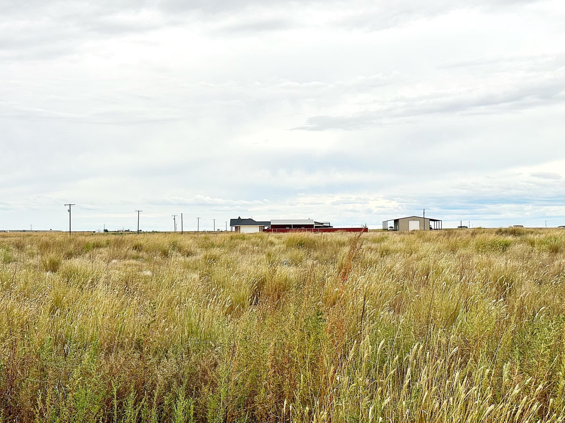 10.01 acres in Lubbock County gallery image 2