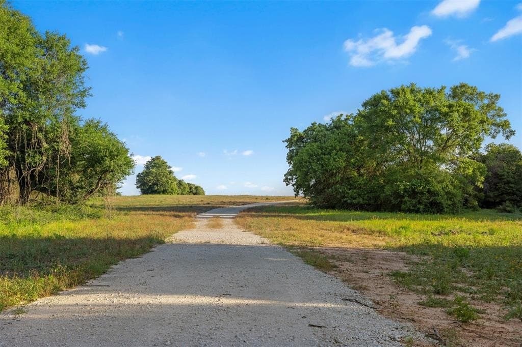 204.44 acres in Robertson County gallery image 2