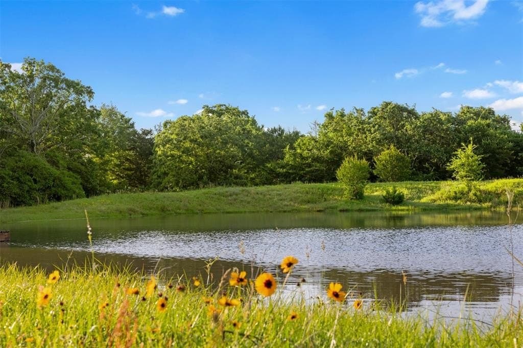 204.44 acres in Robertson County gallery image 4