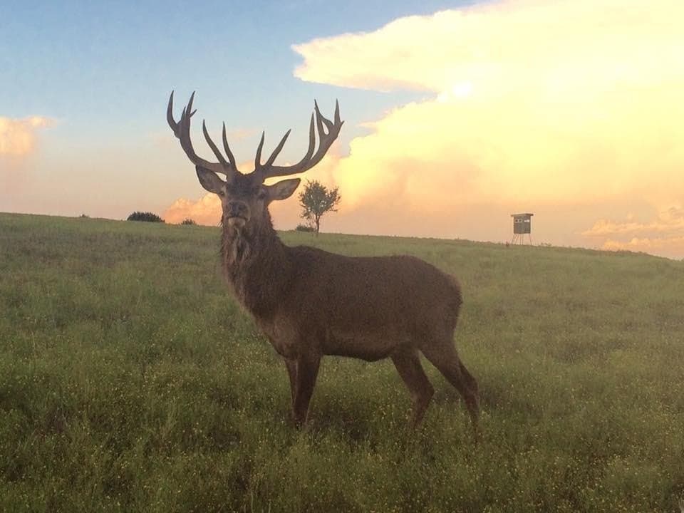 57 acres in Burnet County