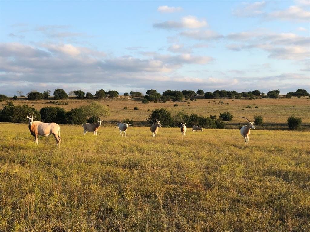 57 acres in Burnet County featured view