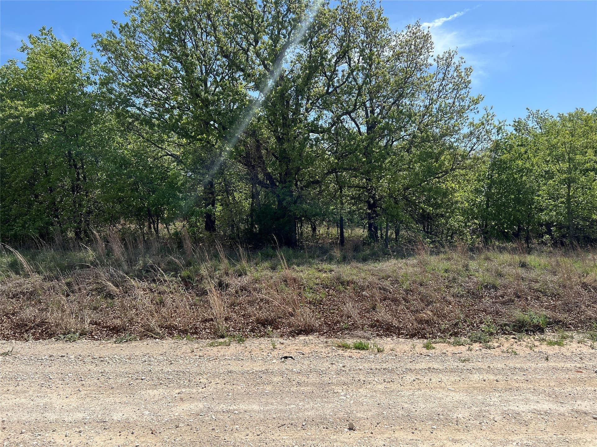 0.29 acres in Montague County gallery image 2