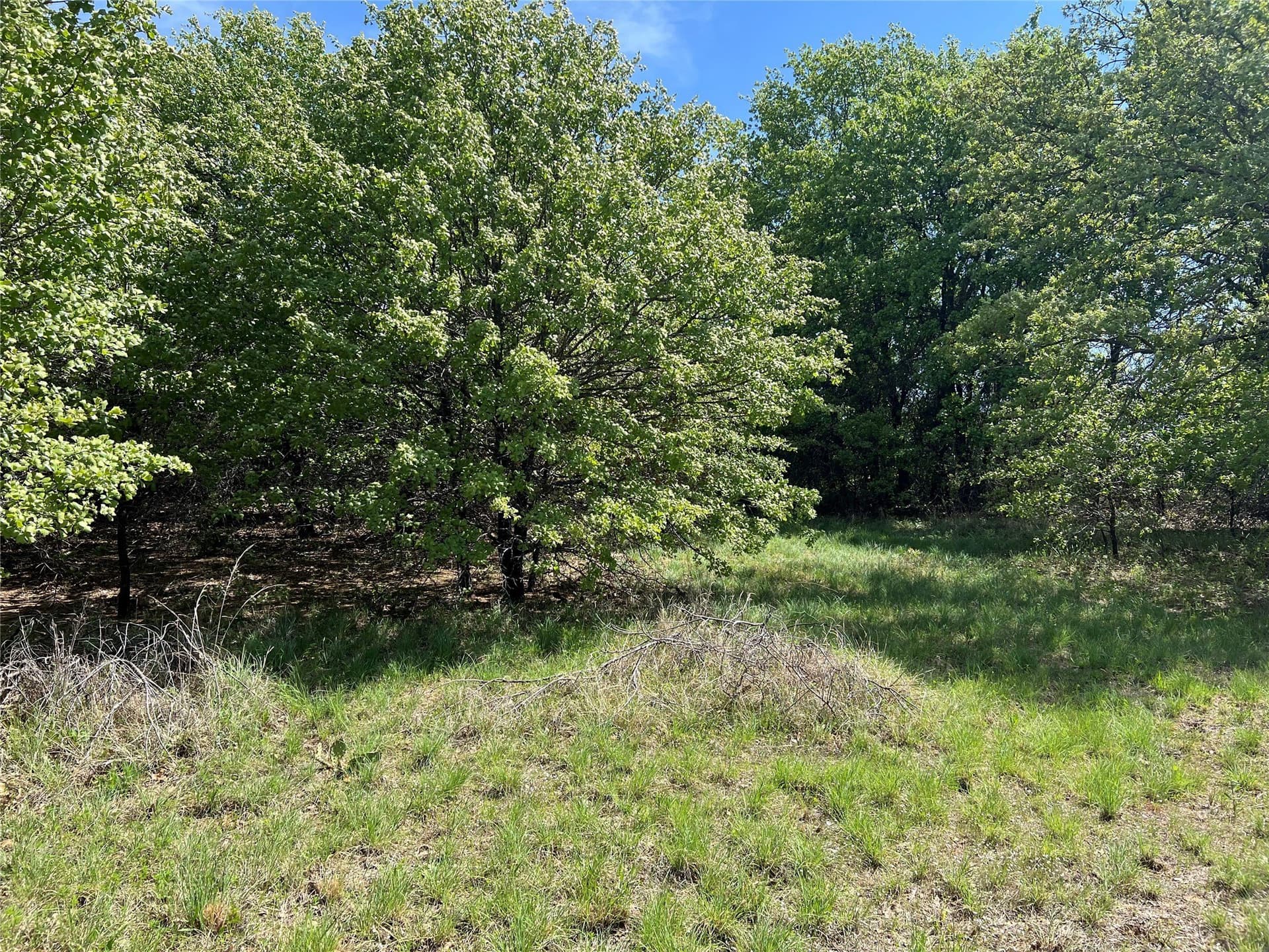0.29 acres in Montague County