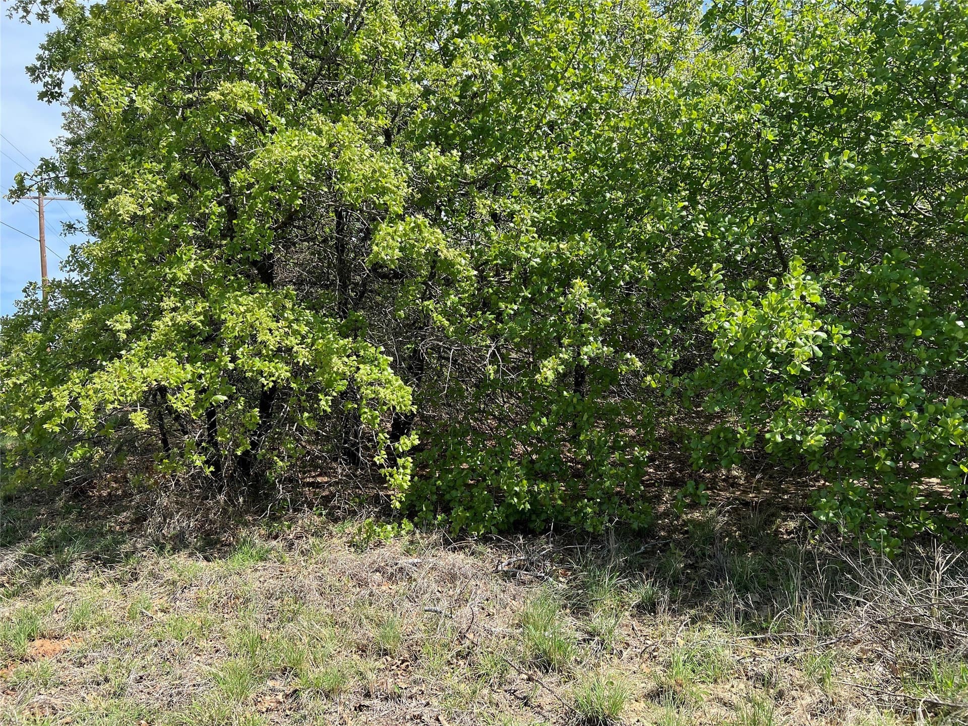 0.29 acres in Montague County - photo 8