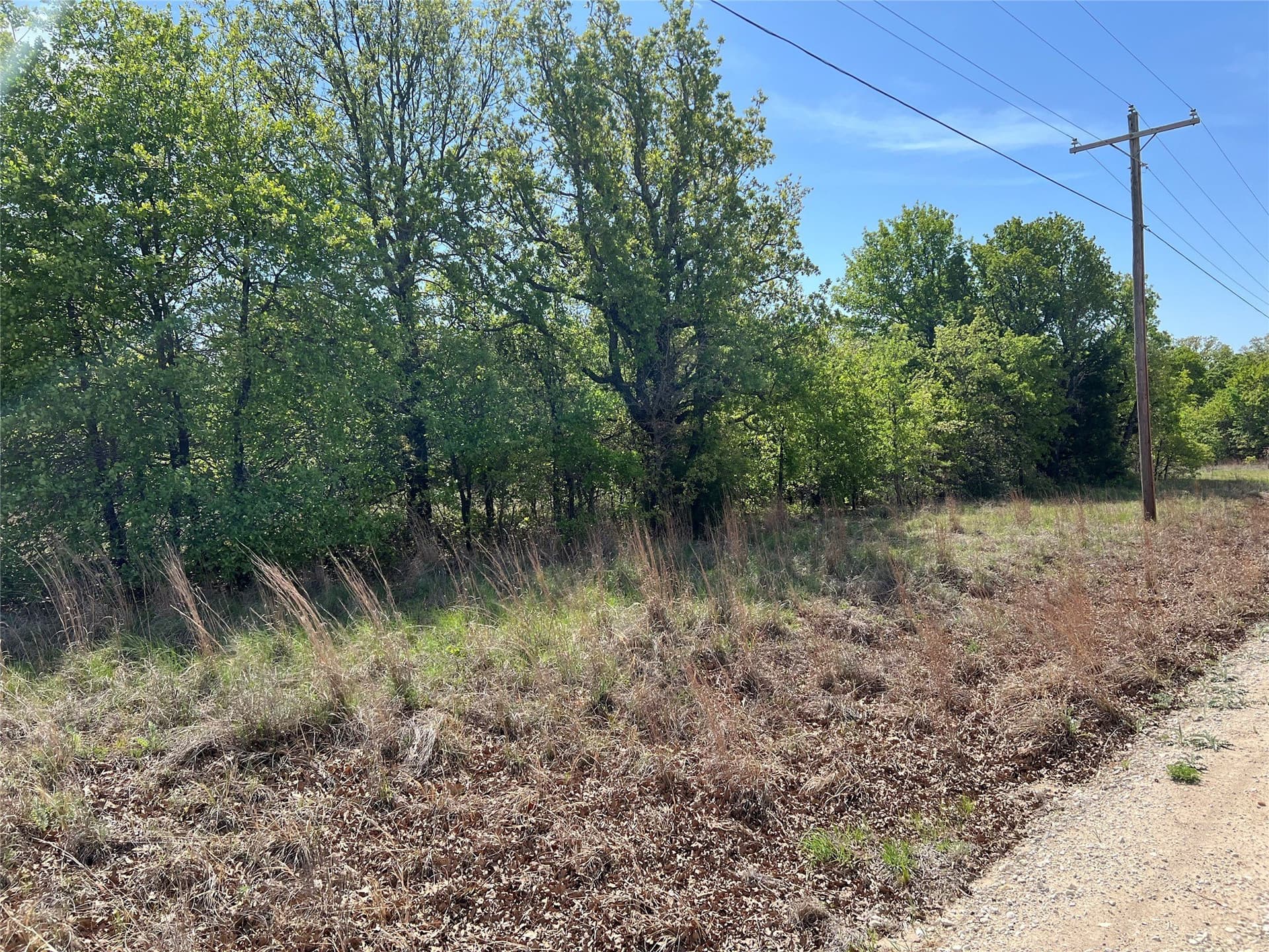 0.29 acres in Montague County featured view