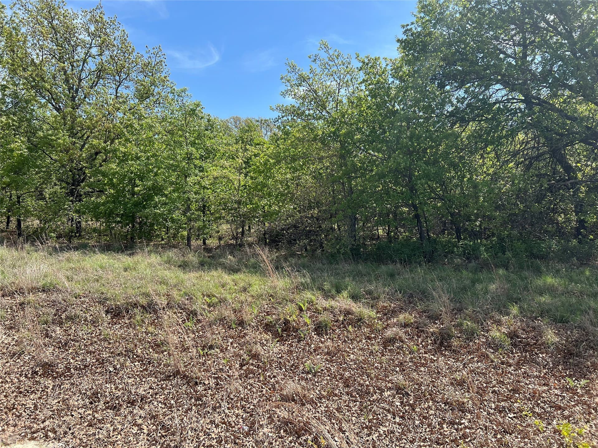 0.29 acres in Montague County - photo 6