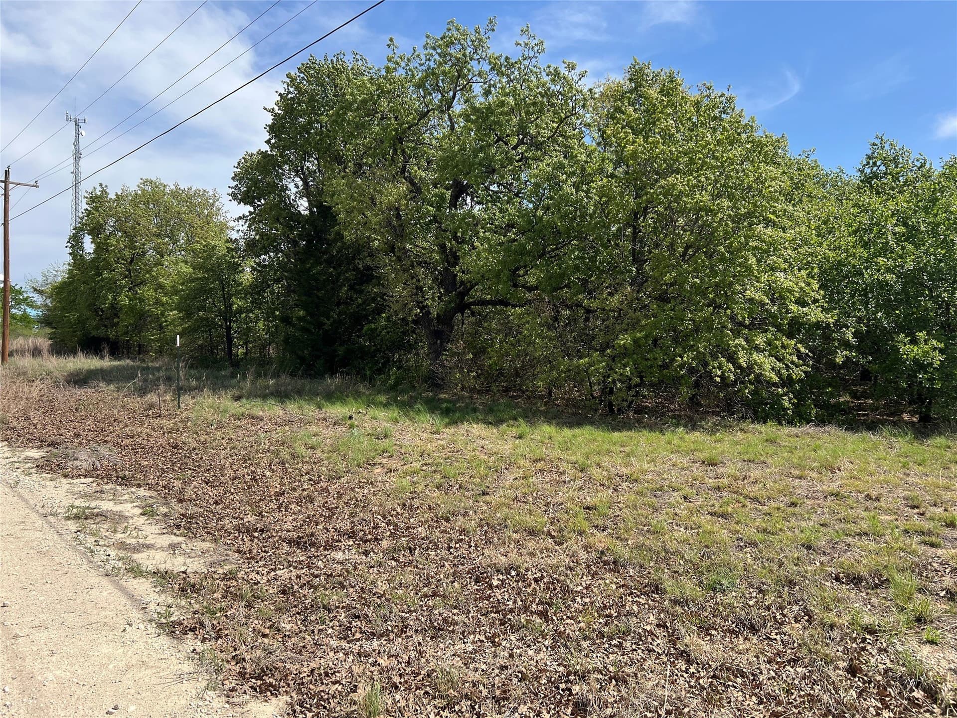 0.29 acres in Montague County gallery image 3