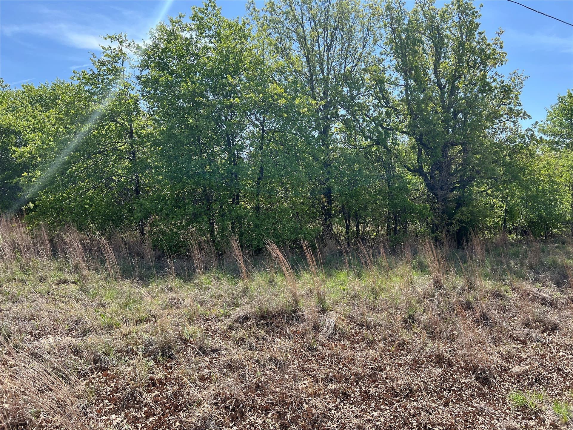 0.29 acres in Montague County - photo 7
