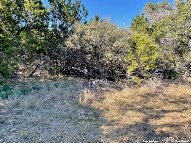 0.28 acres in Medina County gallery image 4