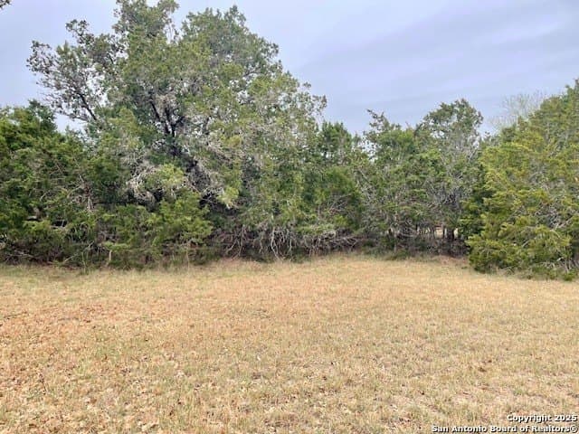 0.28 acres in Medina County - photo 8