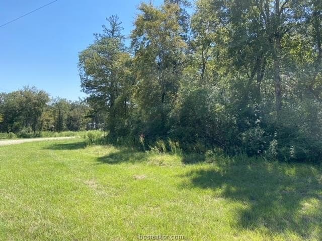 8.9 acres in Robertson County - photo 14