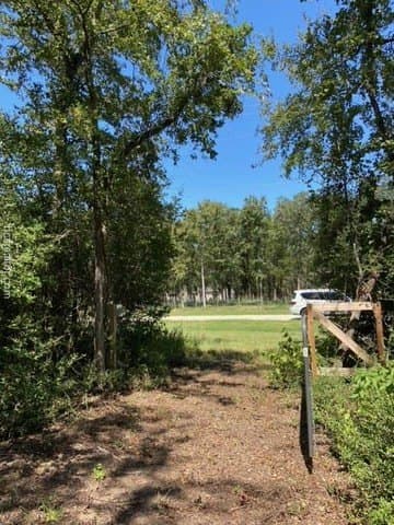 8.9 acres in Robertson County gallery image 4