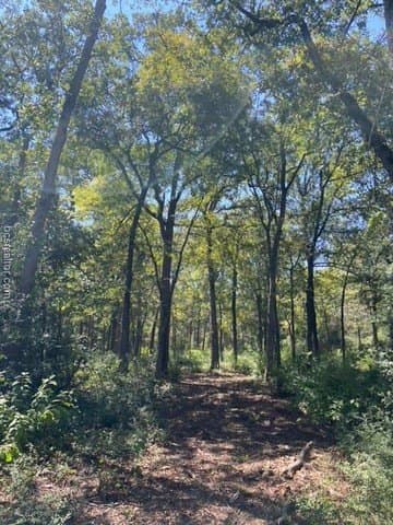 8.9 acres in Robertson County - photo 11