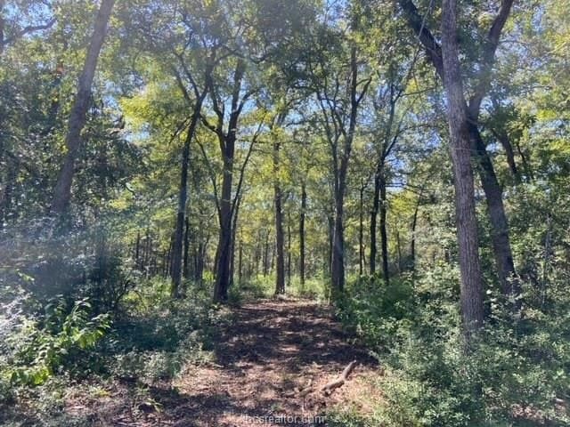 8.9 acres in Robertson County - photo 7