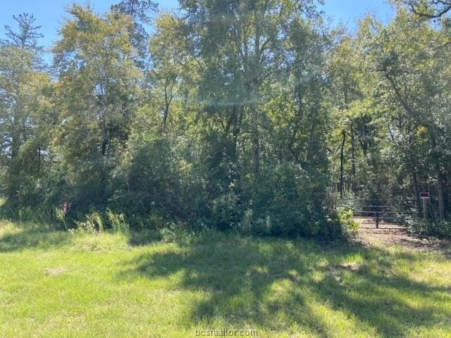 8.9 acres in Robertson County - photo 13