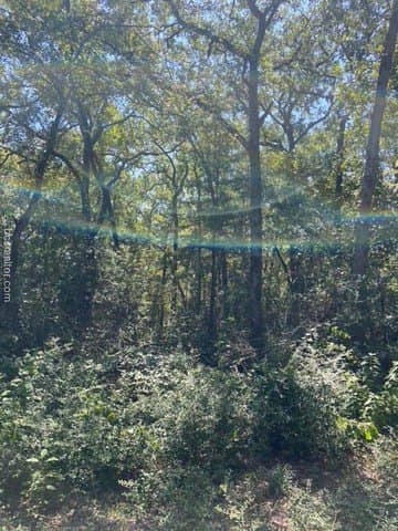 8.9 acres in Robertson County - photo 12