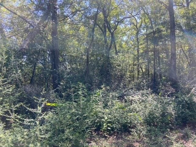 8.9 acres in Robertson County - photo 6
