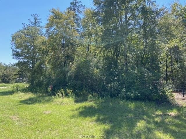 8.9 acres in Robertson County - photo 15