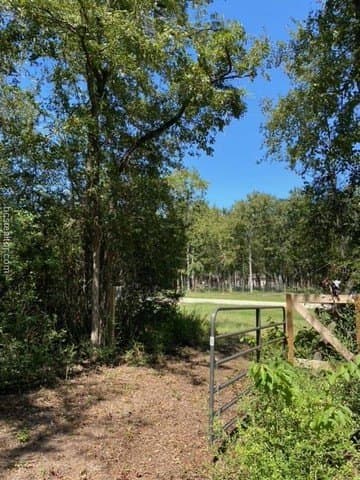 8.9 acres in Robertson County gallery image 3