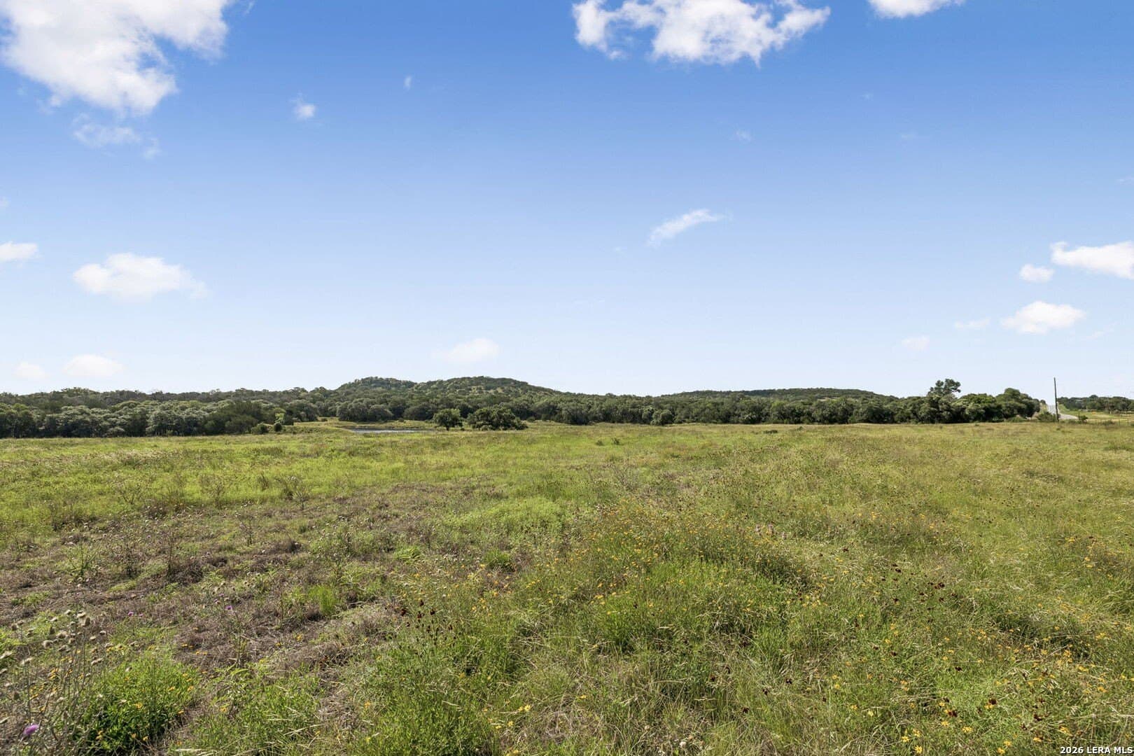 10.03 acres in Kendall County - photo 33