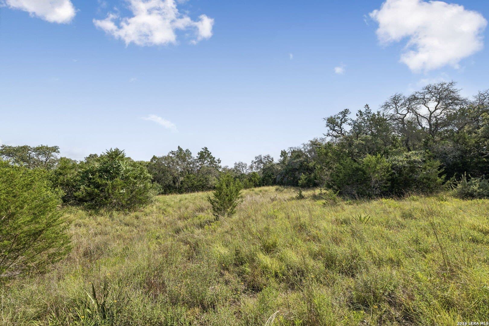 10.03 acres in Kendall County - photo 23