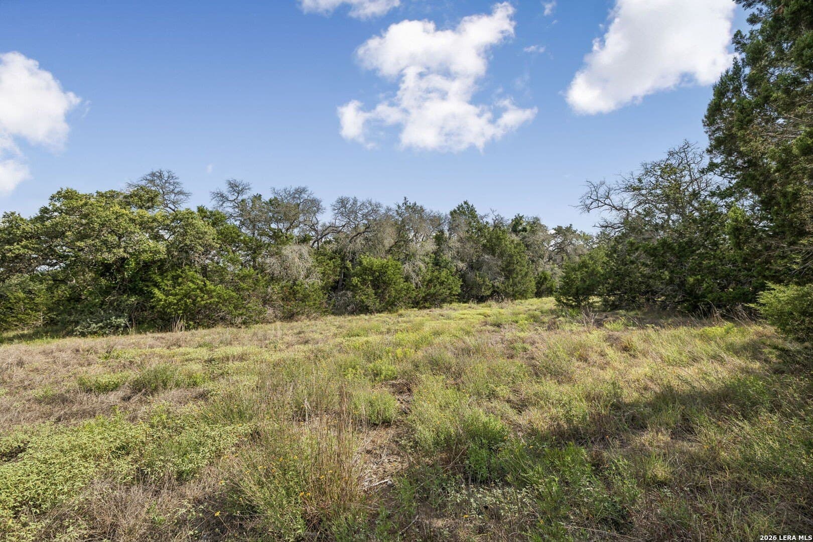 10.03 acres in Kendall County - photo 20