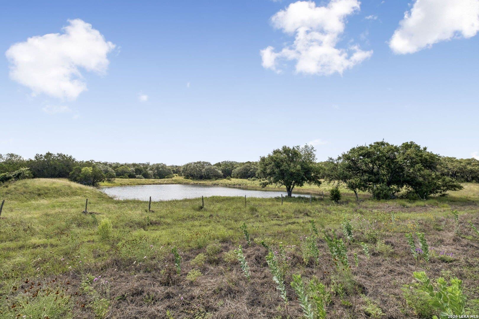 10.03 acres in Kendall County - photo 30