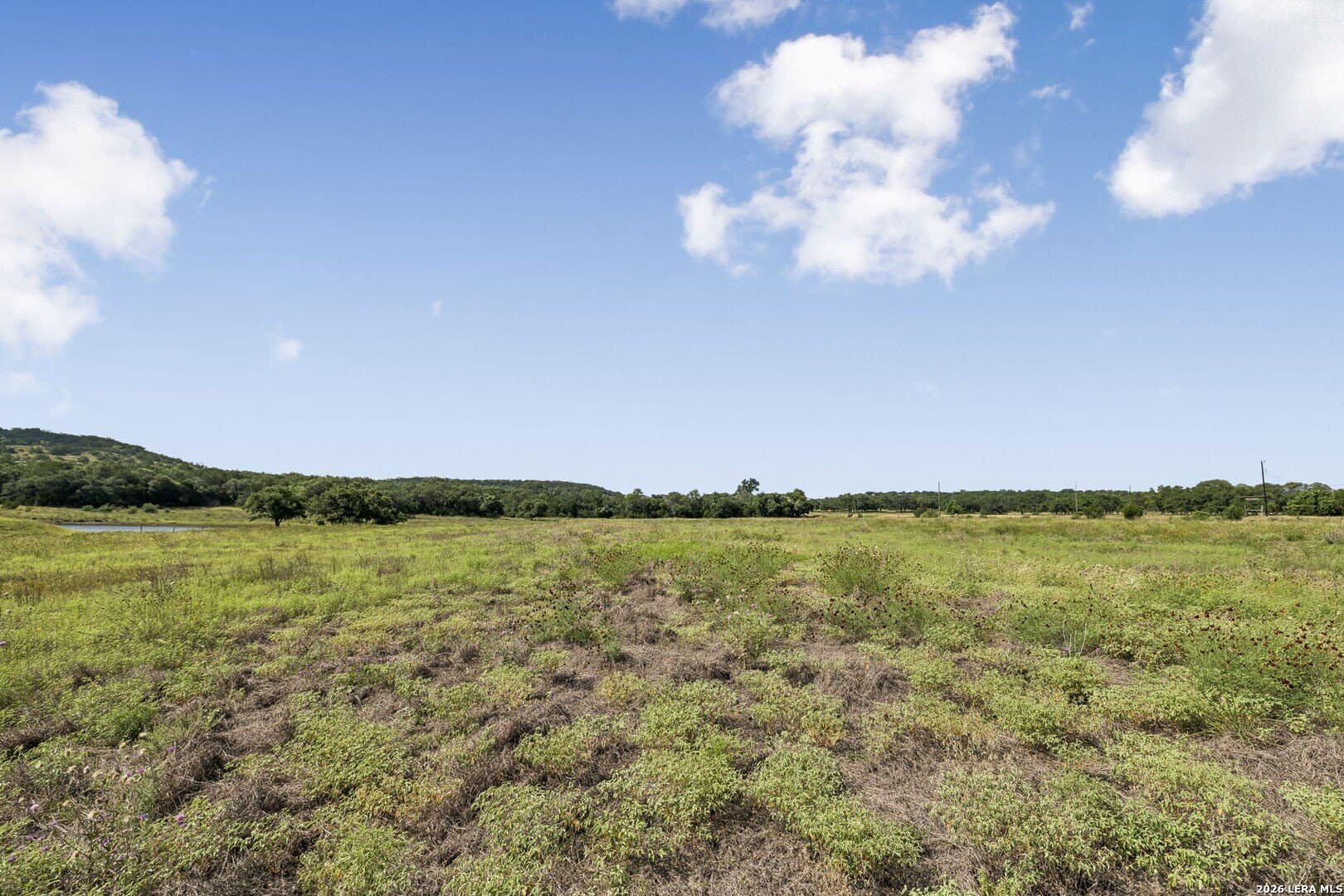 10.03 acres in Kendall County - photo 32