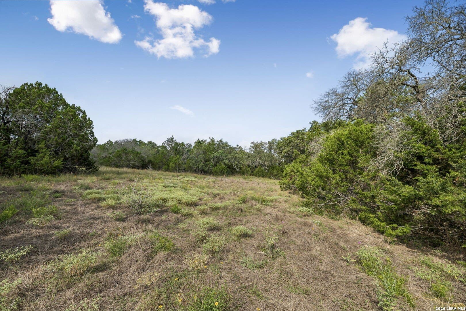 10.03 acres in Kendall County - photo 21