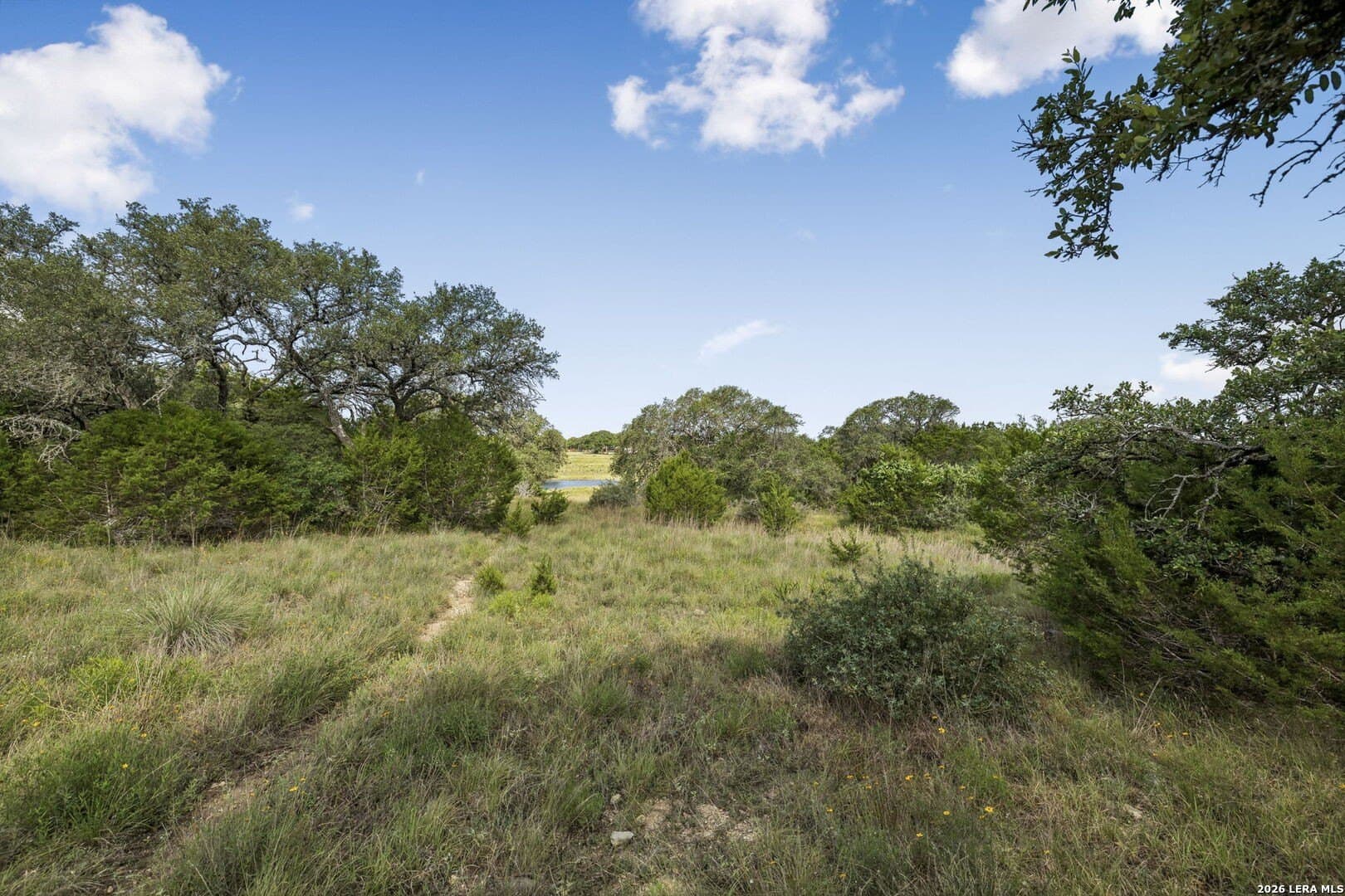 10.03 acres in Kendall County - photo 22