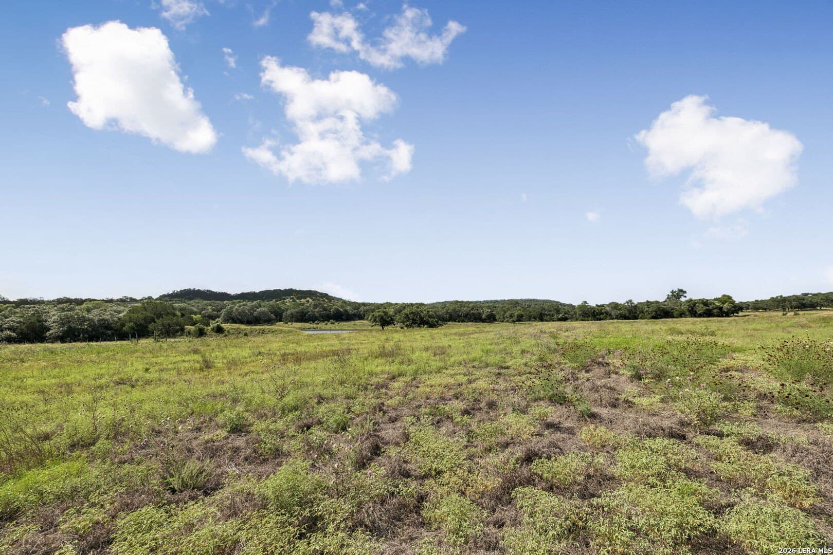10.03 acres in Kendall County - photo 31