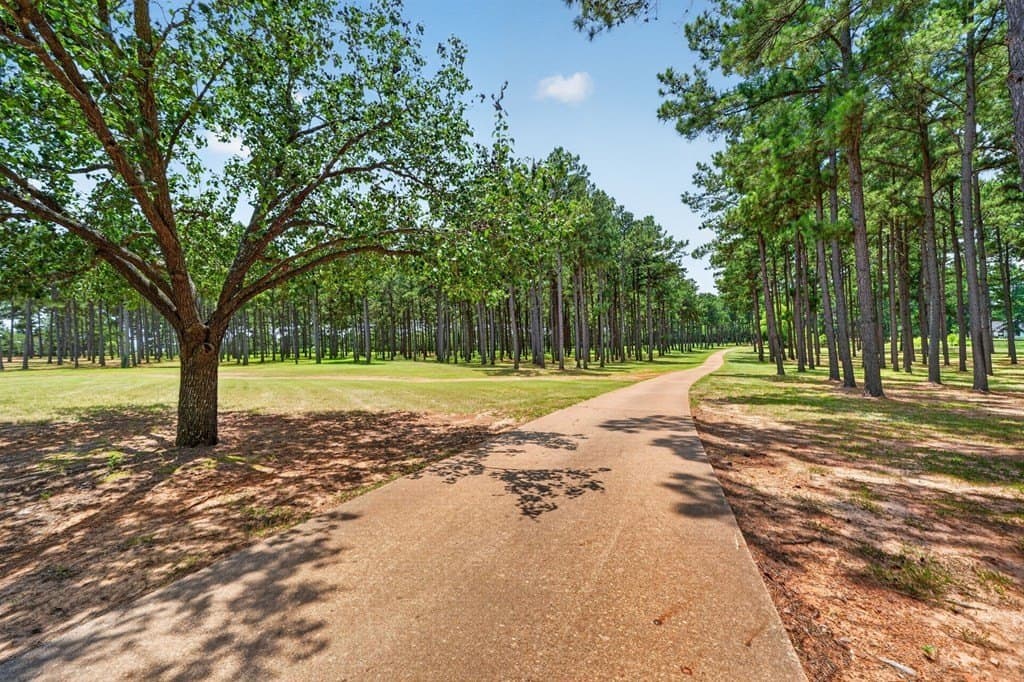 12.5 acres in Henderson County - photo 39