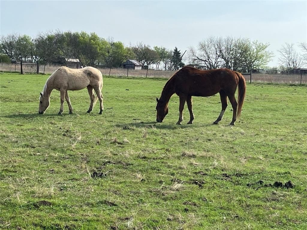 16 acres in Hunt County featured view