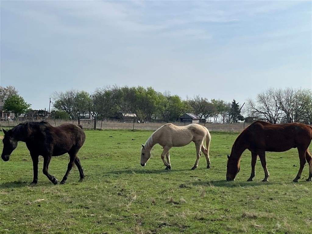 16 acres in Hunt County