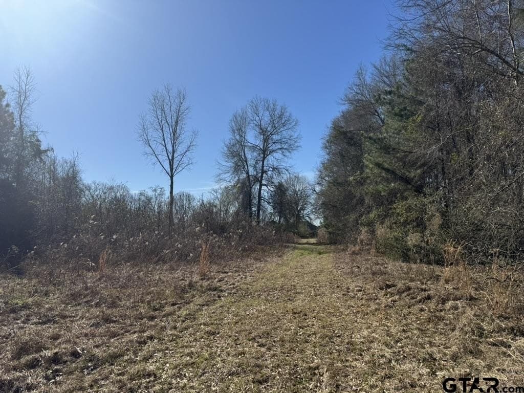 4.98 acres in Smith County gallery image 3