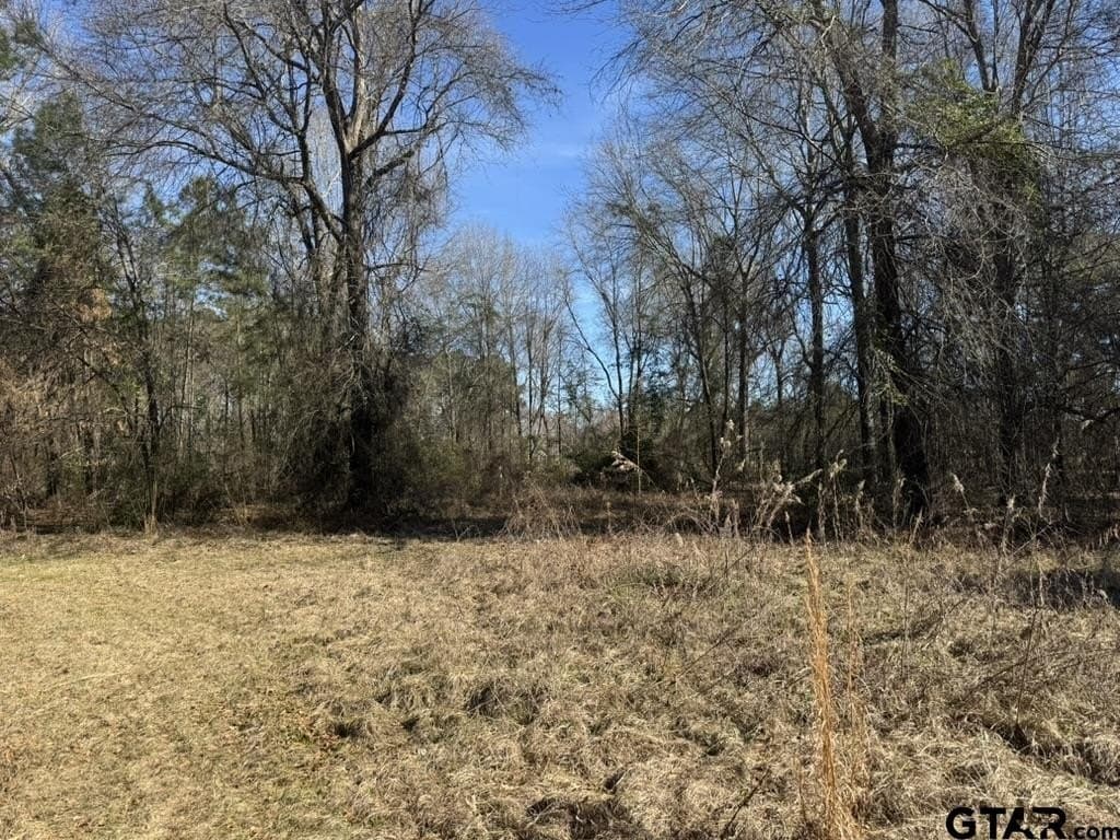 4.98 acres in Smith County gallery image 4