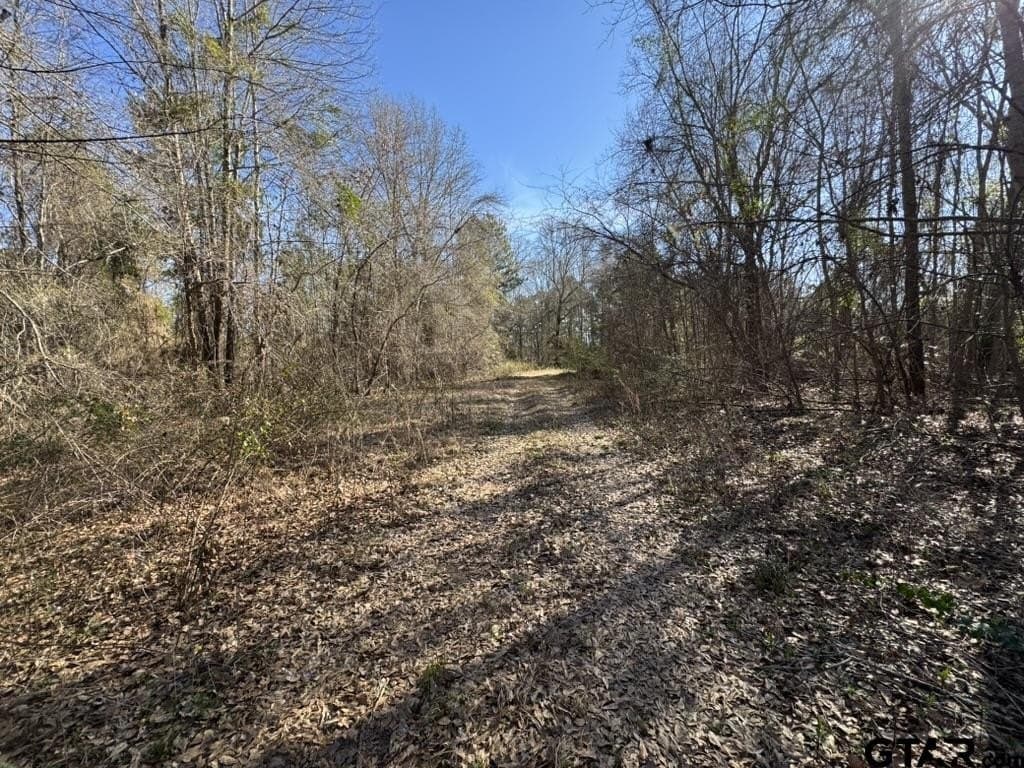 4.98 acres in Smith County gallery image 2