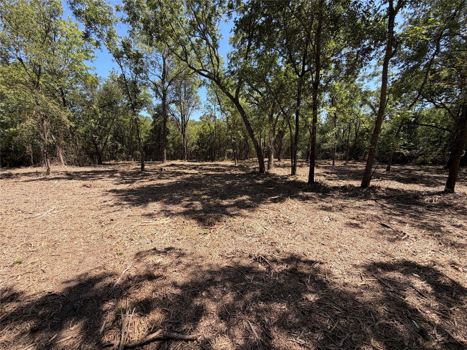 39.24 acres in Navarro County gallery image 3