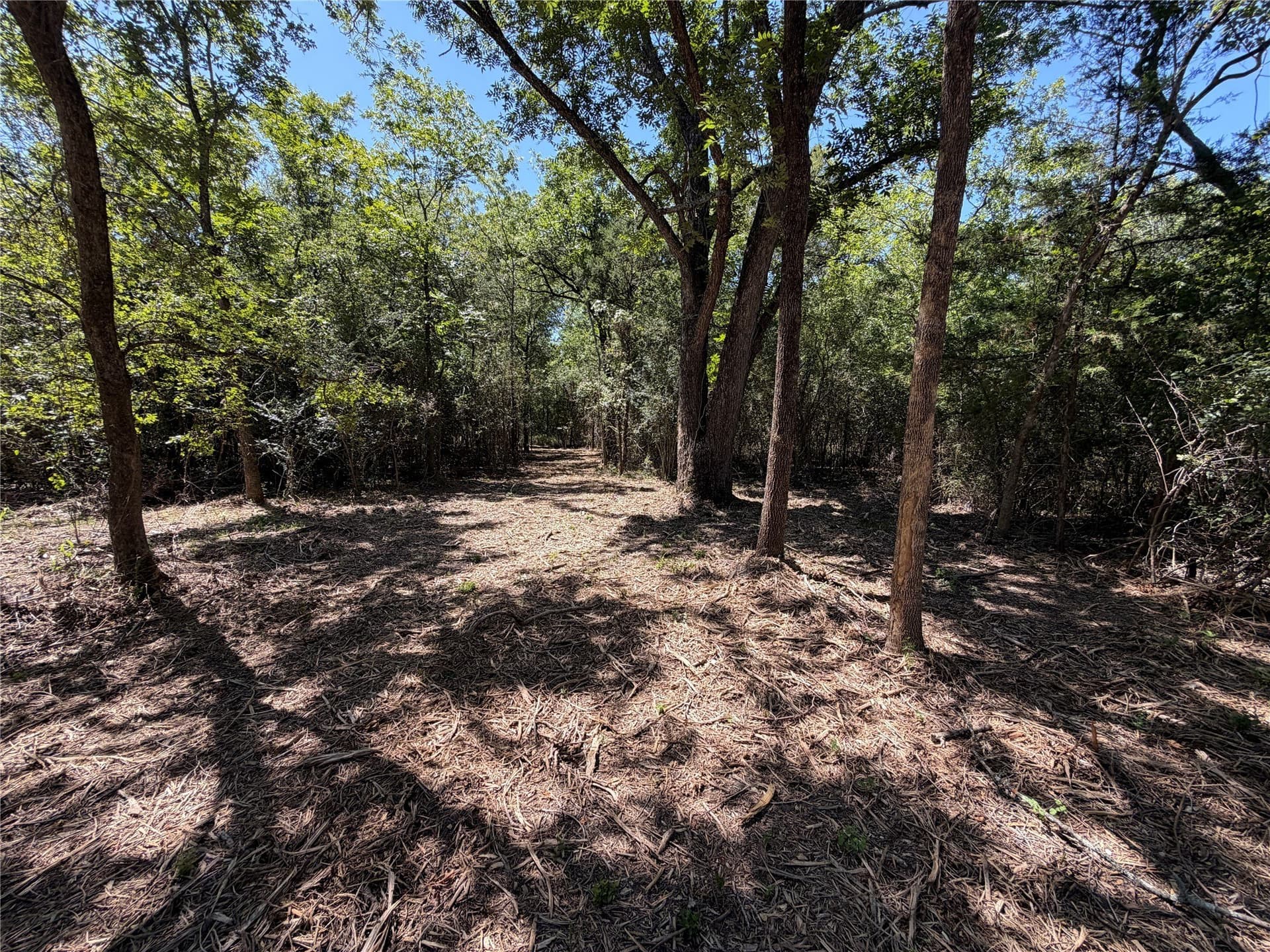 39.24 acres in Navarro County - photo 6