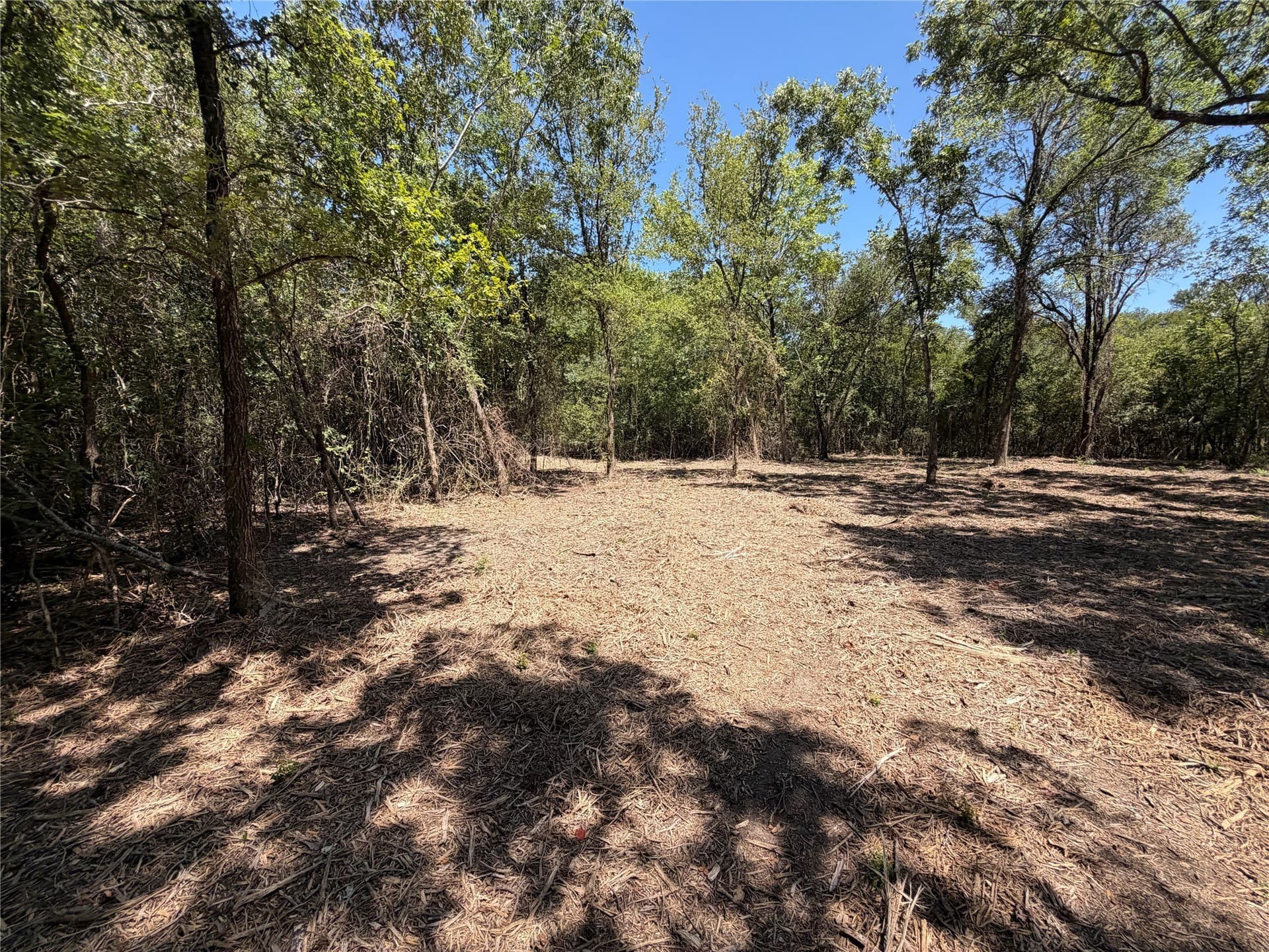 39.24 acres in Navarro County gallery image 4