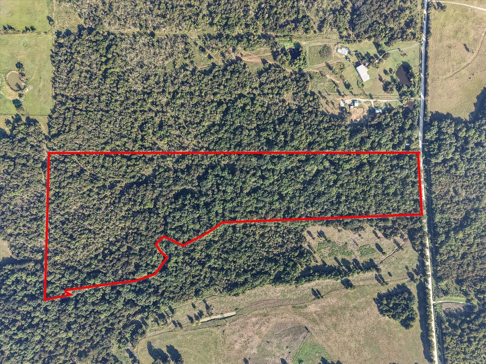 39.24 acres in Navarro County - photo 13