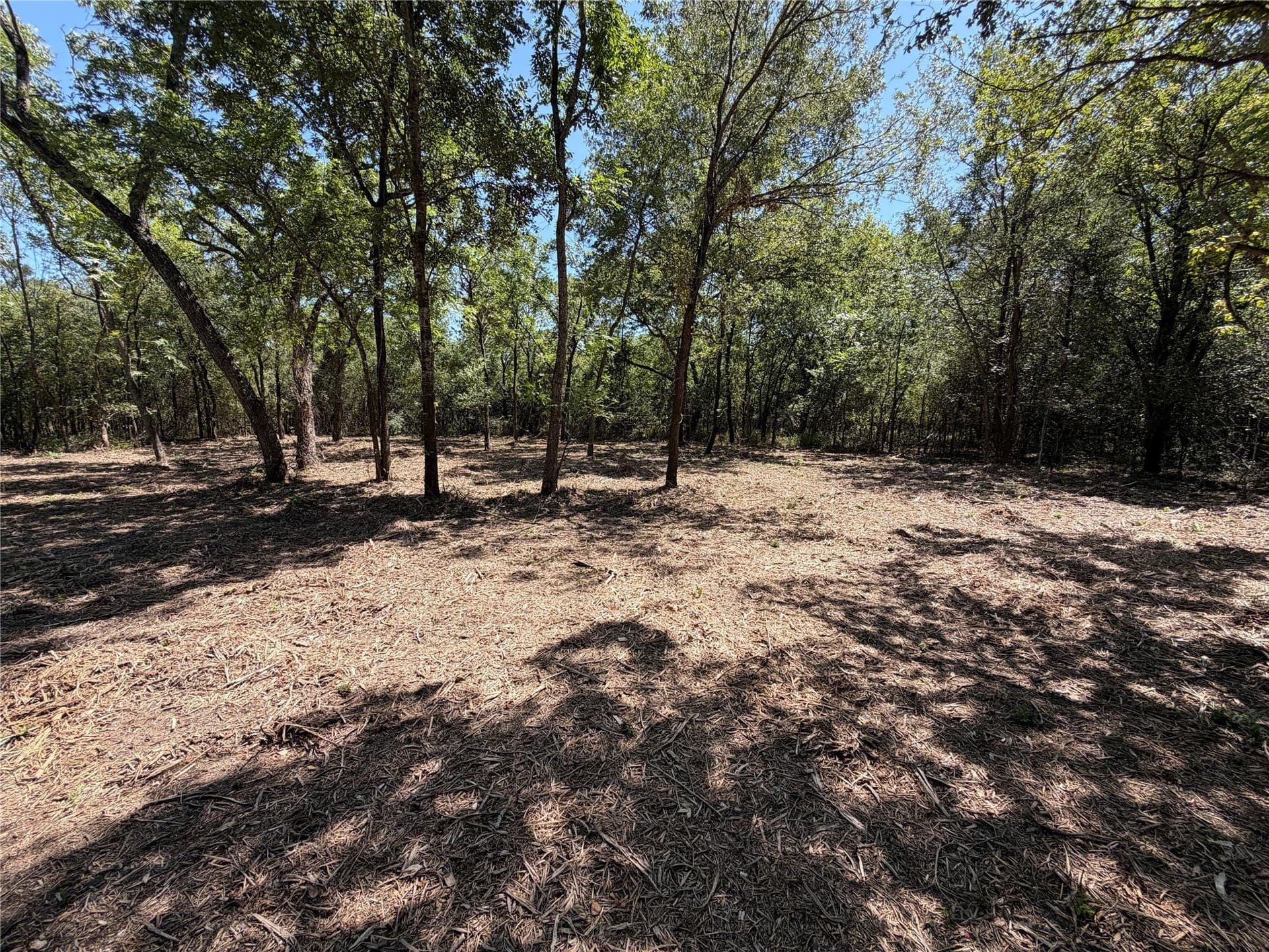 39.24 acres in Navarro County gallery image 2