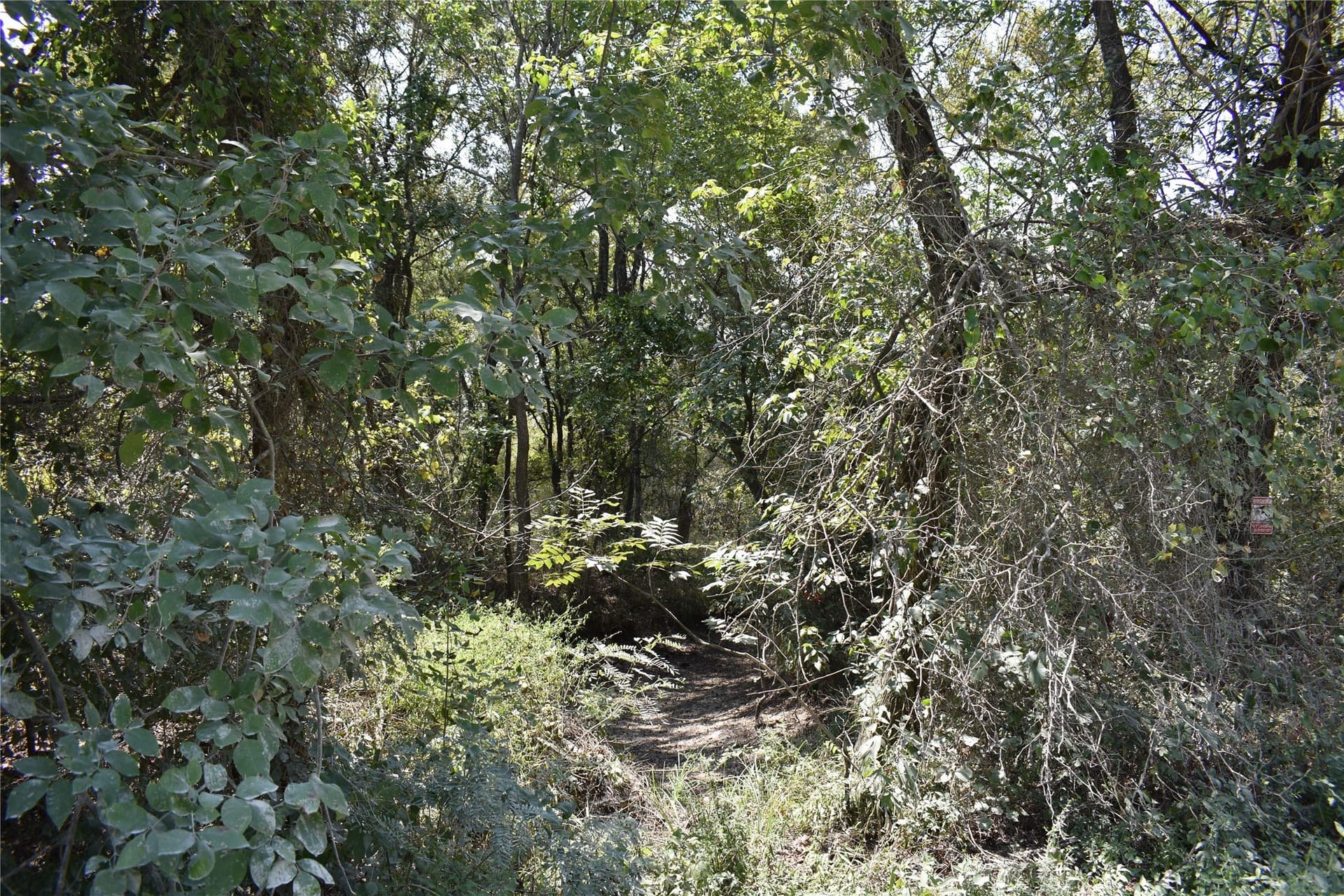 39.24 acres in Navarro County - photo 9