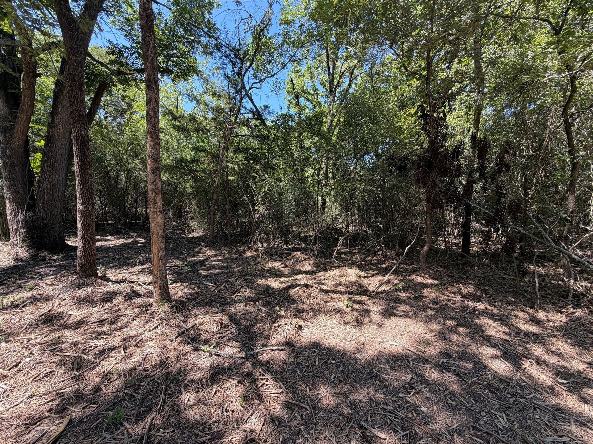 39.24 acres in Navarro County featured view
