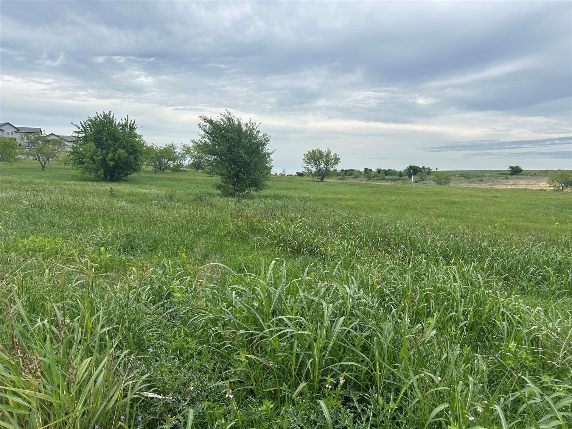 2.29 acres in Parker County gallery image 4